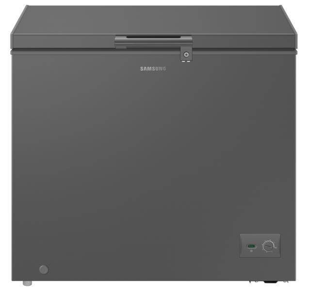 Samsung RI70F20V2GAUT 198L