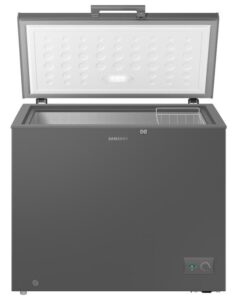 Samsung RI70F20V2GAUT 198L