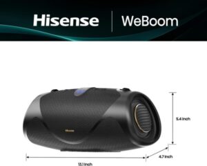 Hisense Portable FlexBoom Bluetooth Speaker